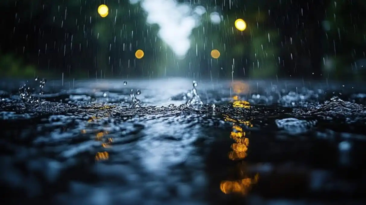 La lluvia pudo más que las ganas de los organizadores de la Belgrano Fest