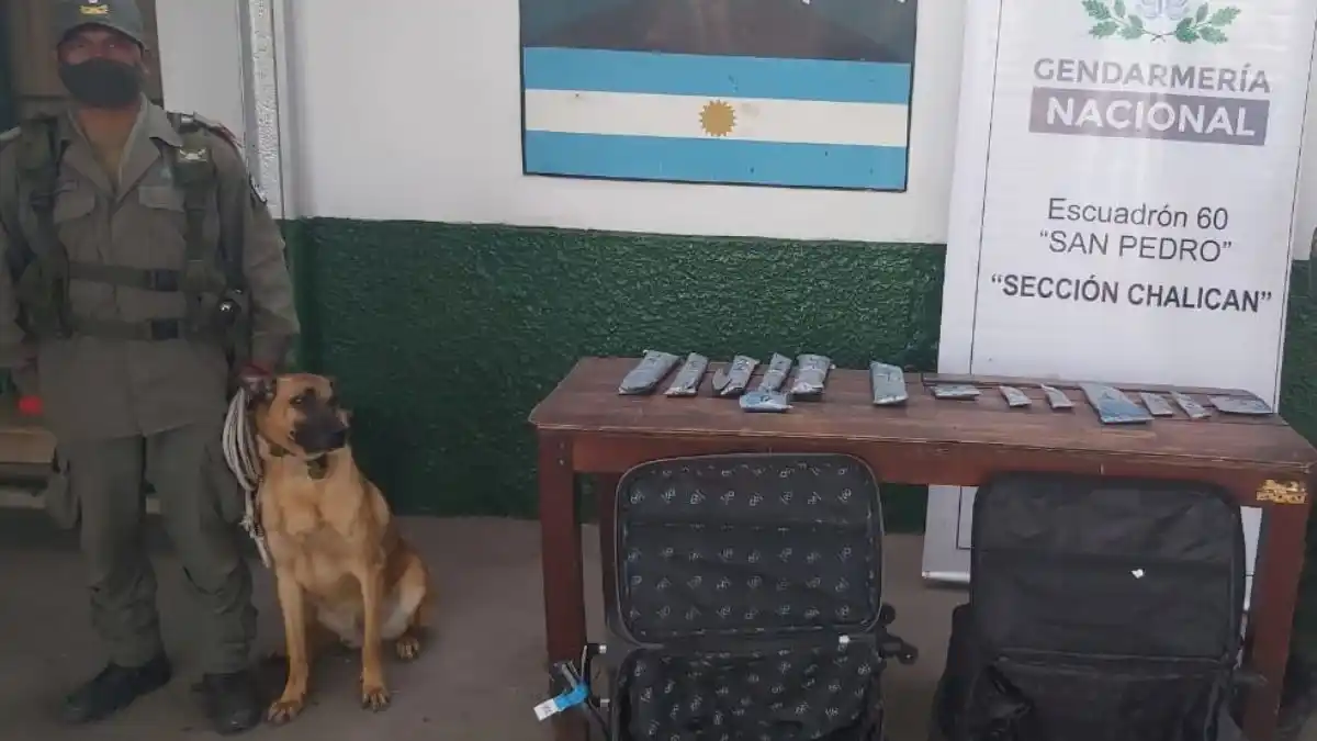 Viajaban a Córdoba con 4 kilos de cocaína, pero un perro entrenado los descubrió