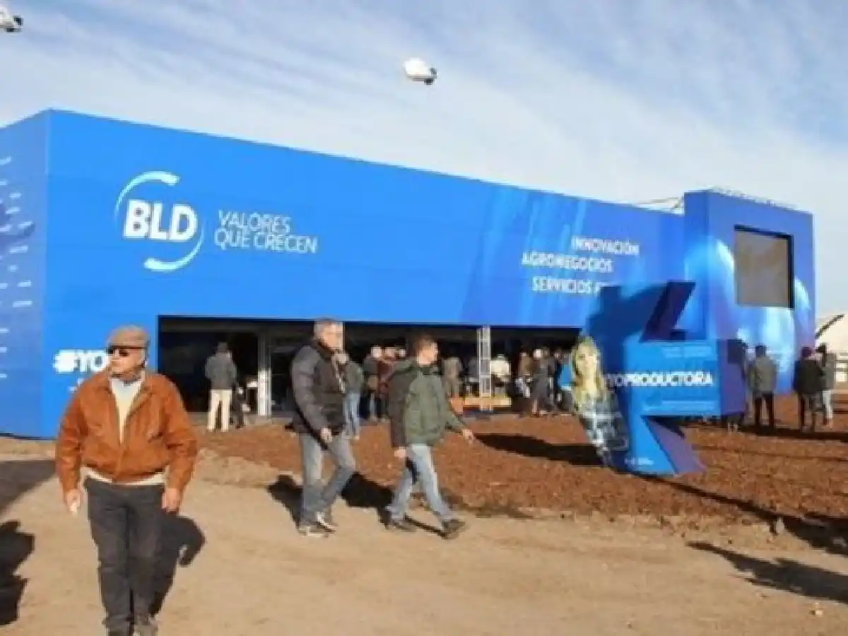Formularán doce denuncias penales por estafa contra la empresa de corretaje BLD