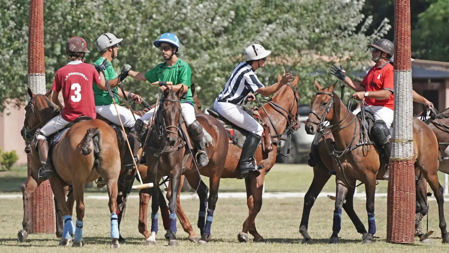 La Pandorga vs Las Lechuzas, el primer duelo de la 14° edición