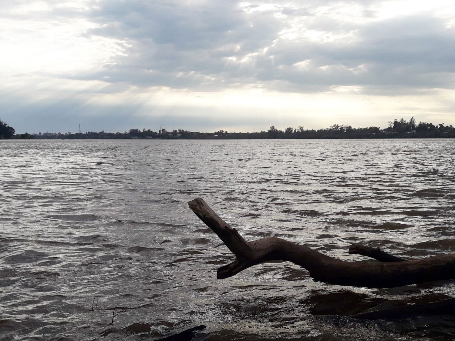 El río Uruguay frente al puerto de Concordia creció pero tiende a estabilizarse