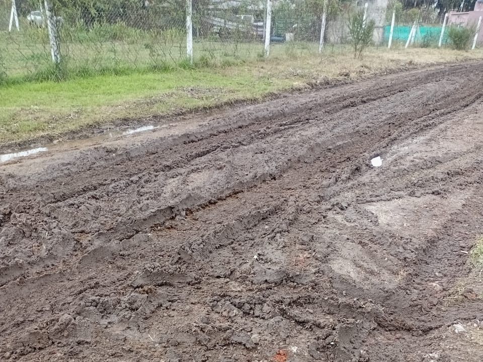 San Pío