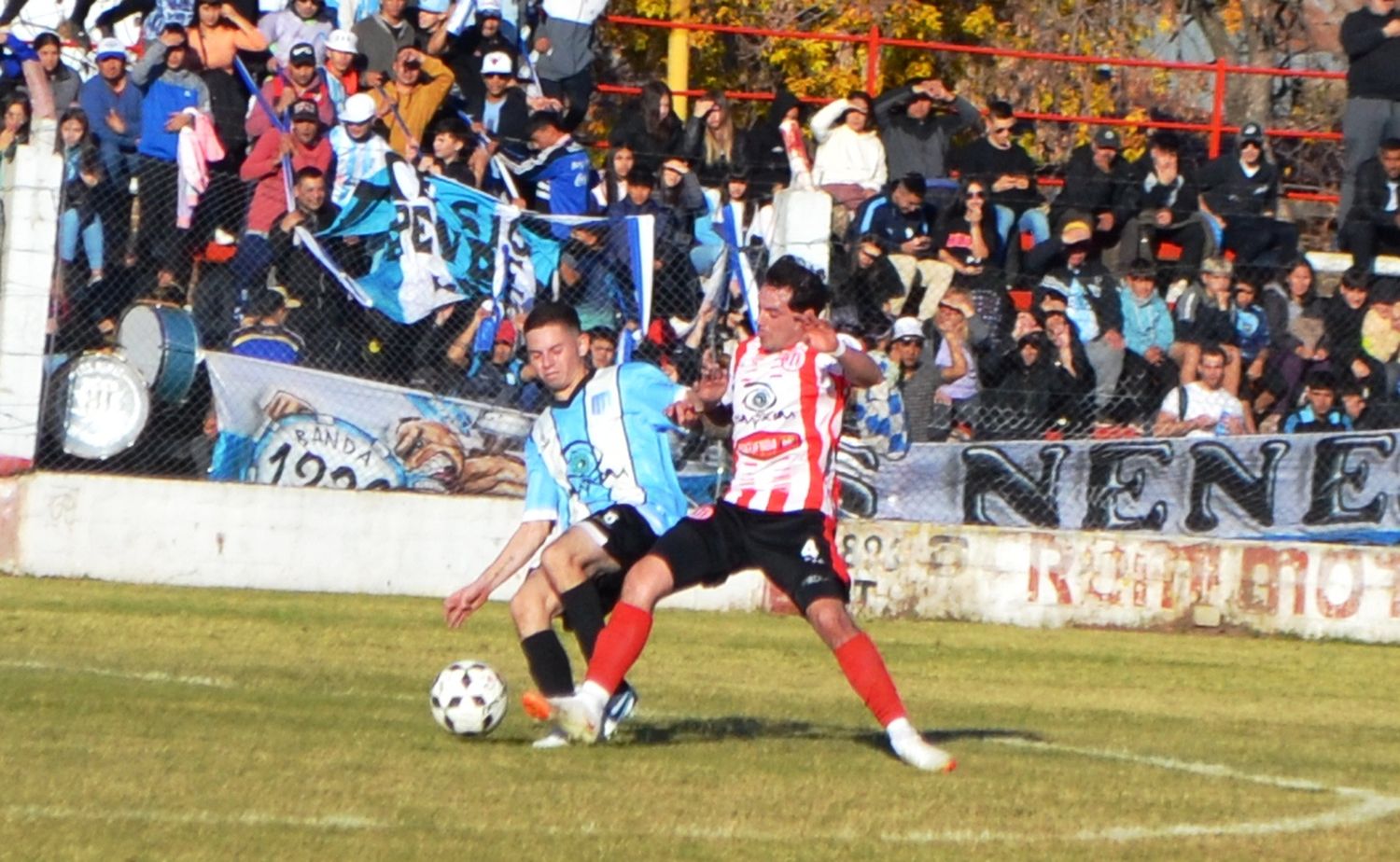 Argentino - 2