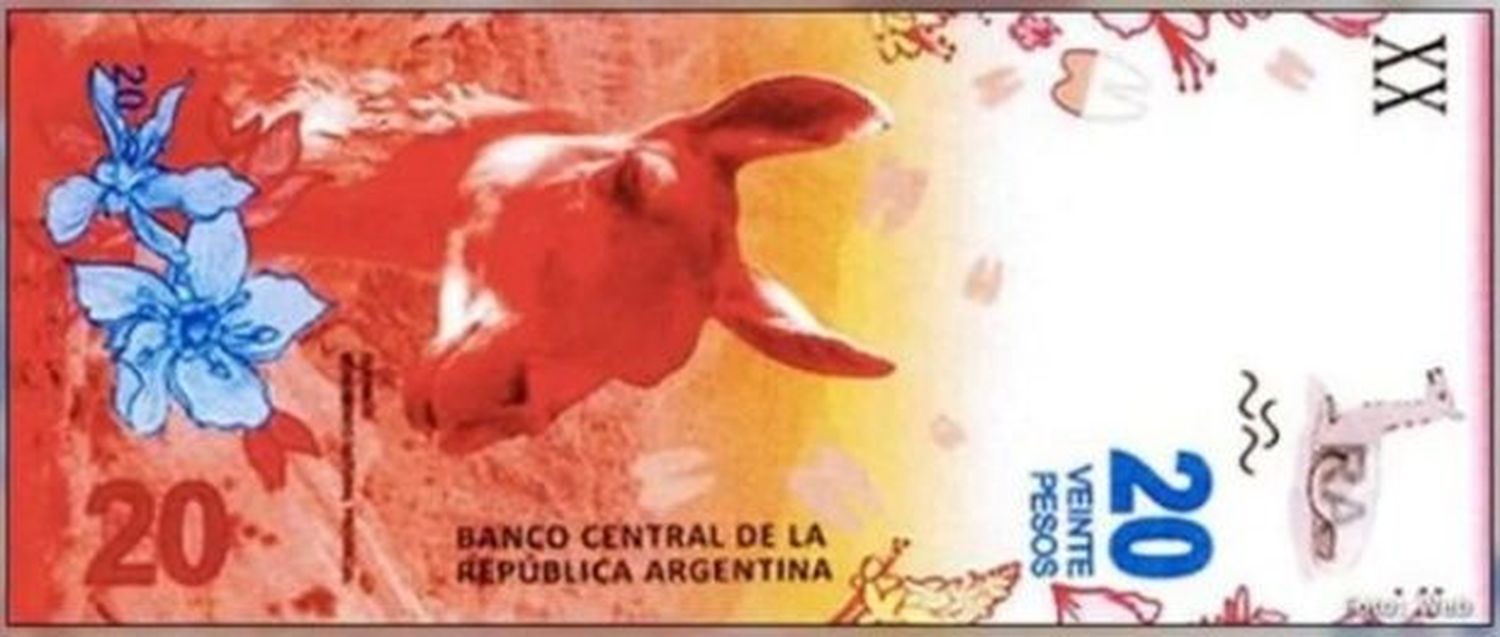 Reemplazan a Rosas por un guanaco en el billete de $20