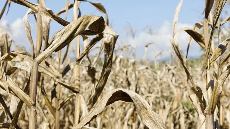 Crisis en el sector agropecuario: "Estamos complicados porque el clima no se puede manejar"