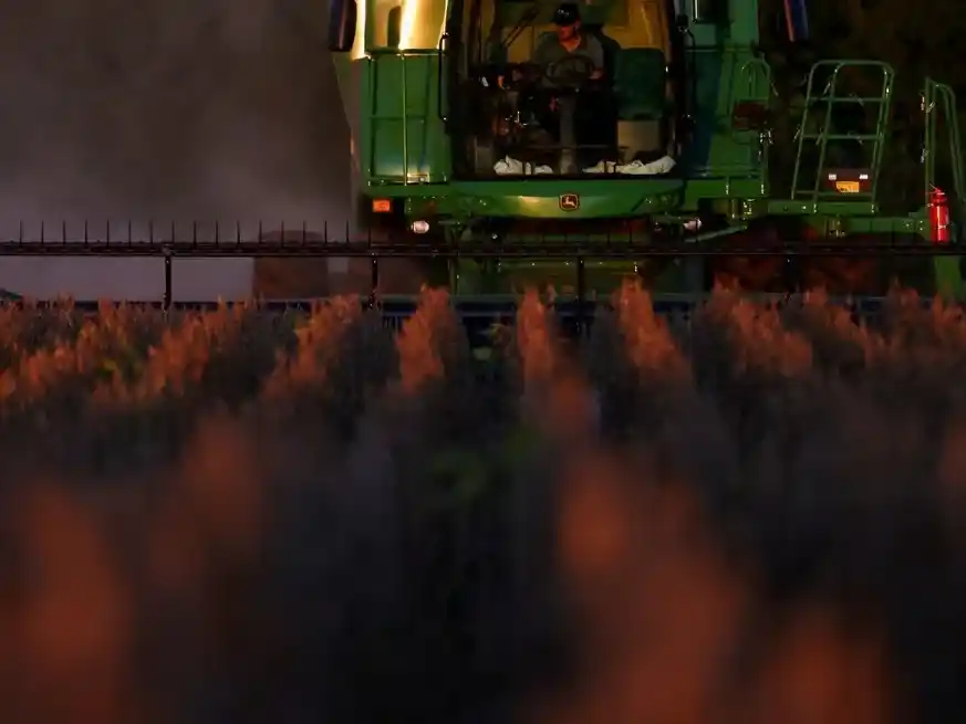 Excesos hídricos complican la recolección, pero los rindes mantienen el optimismo en el agro