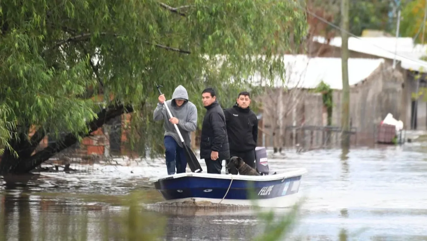 evacuados
