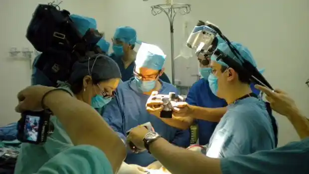 22 donaciones de órganos en 2012