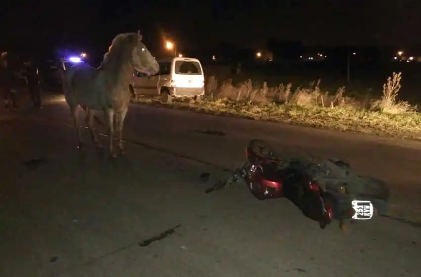 Un motociclista murió tras chocar con un caballo