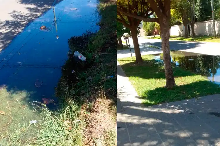 Pérdida en calle Irlanda: “Todo inundado”