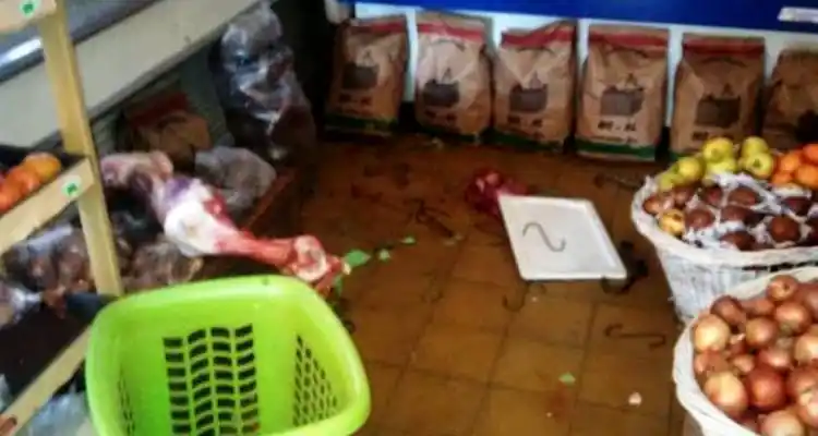 Robo y destrozos en autoservicio de Pellegrini y Urraco: Se llevaron toda la carne que había en las heladeras