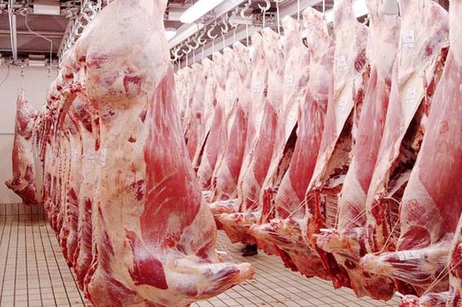 Carne: la Aduana denunció a 19 frigoríficos por supuestas operaciones fraudulentas en exportaciones