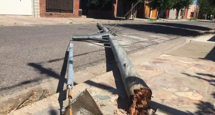 Camión tiró postes de teléfono en Gomendio entre Máximo Millán y Arnaldo