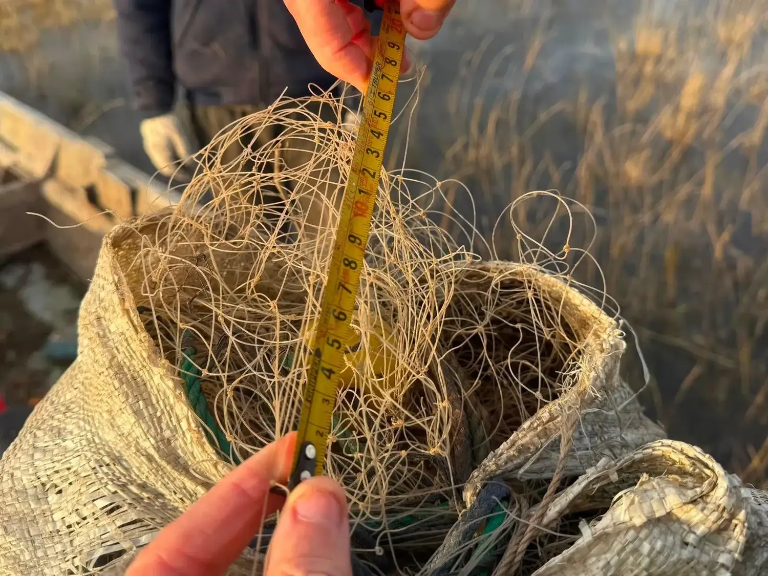 Fuertes operativos contra la caza y la pesca ilegal en Santa Fe: tres aprehendidos y toneladas de pescado decomisadas - 6