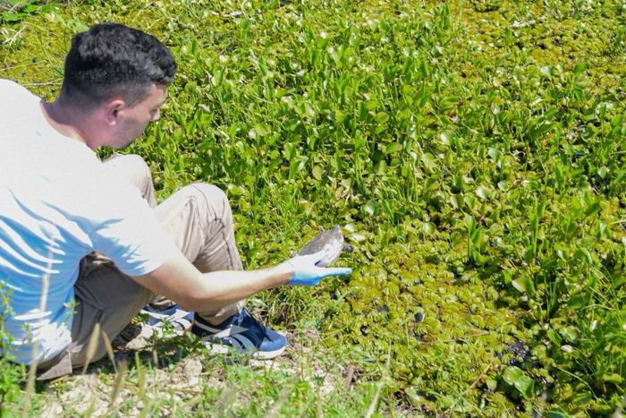 A lo largo del año, se rescataron 1.402 animales silvestres y se logró la liberación de 570 ejemplares