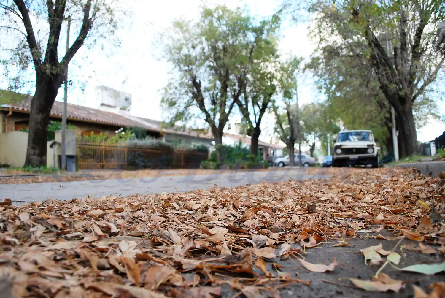 Vecinos reclaman más iluminación en las calles y en la plaza “Guemes”