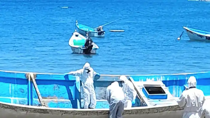 Trinidad y Tobago investiga si cadáveres hallados en un barco pesquero son de migrantes venezolanos