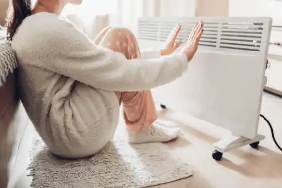 Bajas temperaturas: EPE registró por segundo día consecutivo un récord en la demanda de potencia