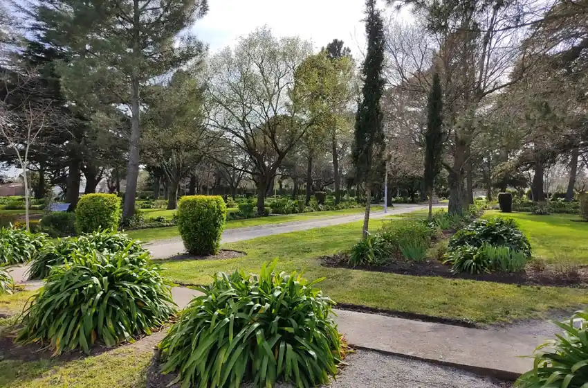 Obras de infraestructura y mejoras en la delegación de Los Pinos