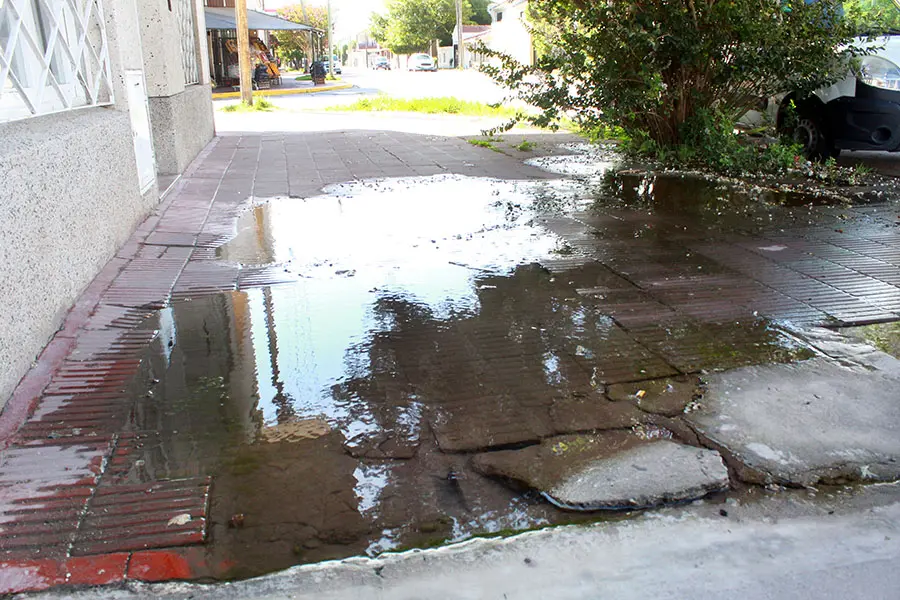 Pérdida de agua en la peatonal