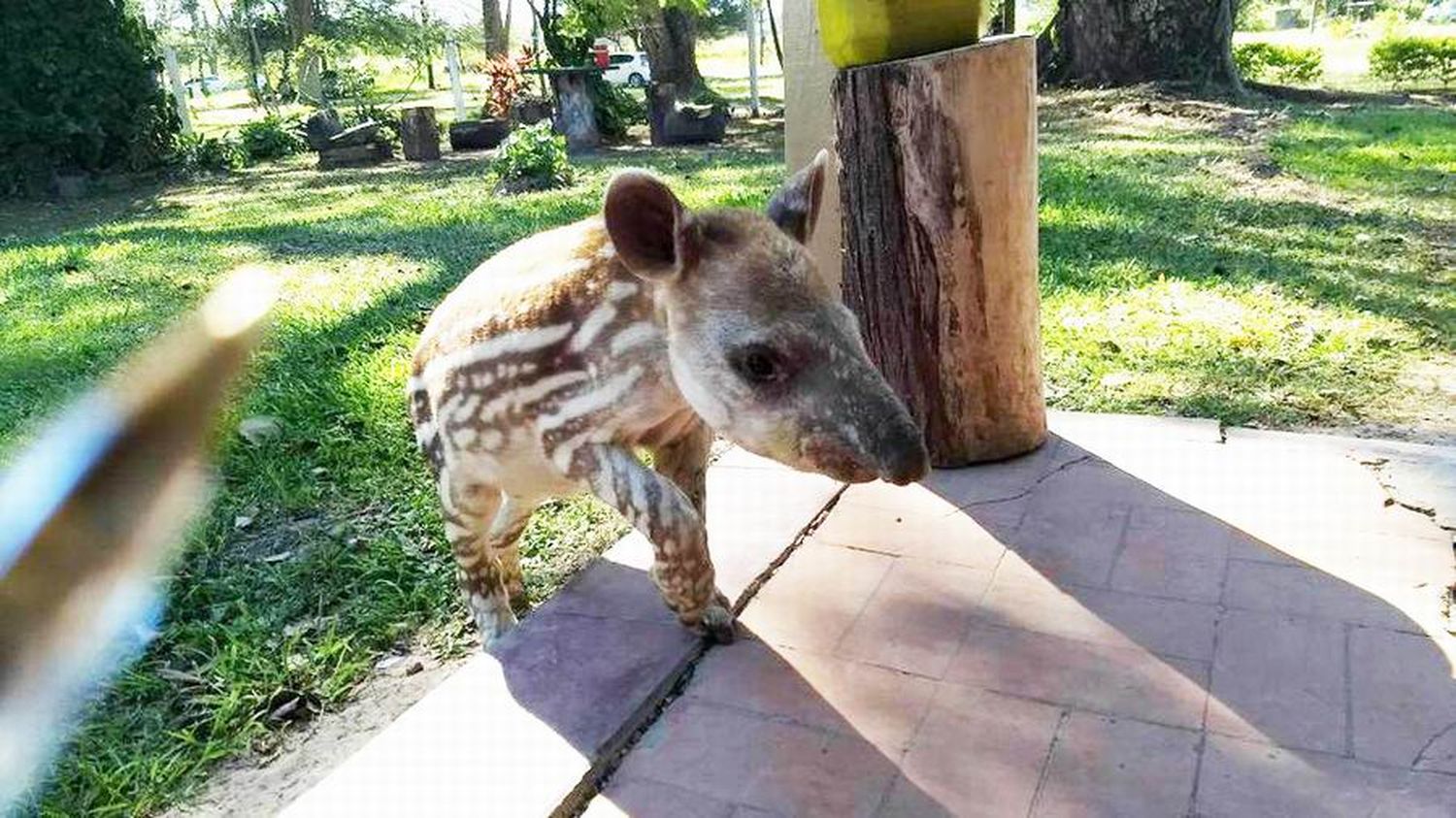 Vacaciones de invierno con diversas 
actividades en la reserva Guaycolec