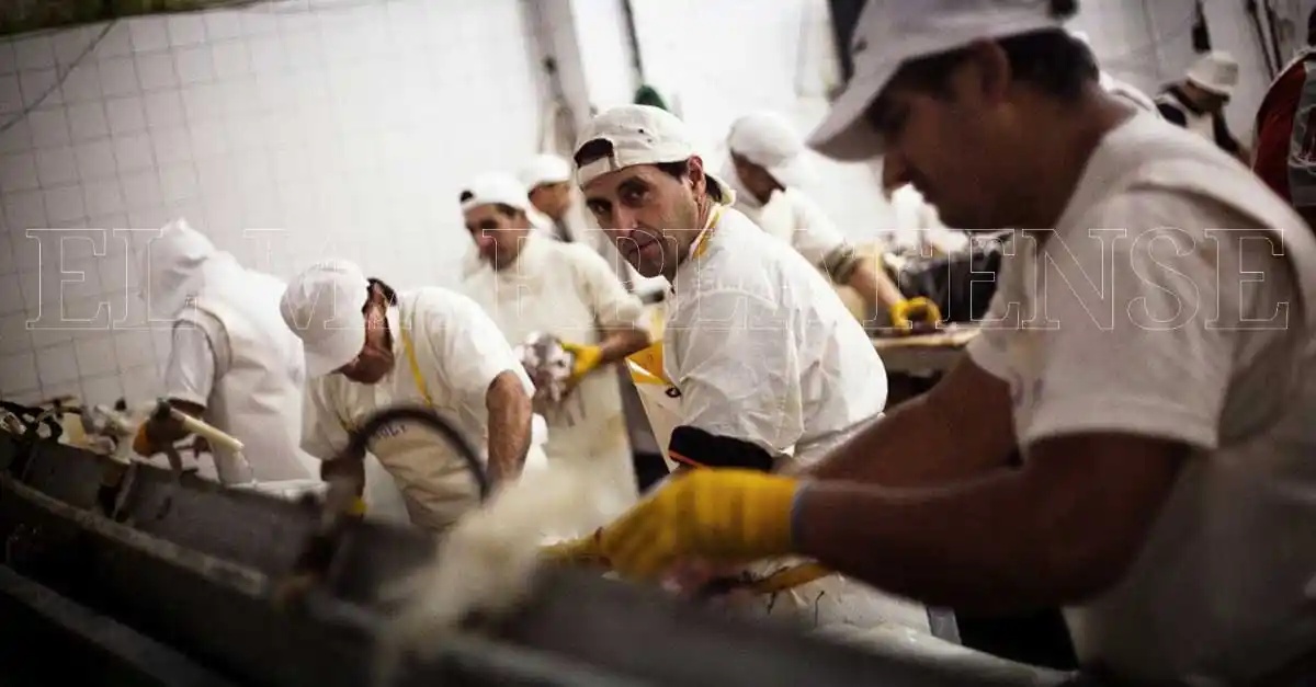 Los fileteros y la informalidad: “Esto es un cuento de nunca terminar”