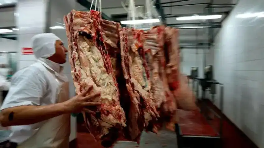 ¿Se cierran las exportaciones de carne?