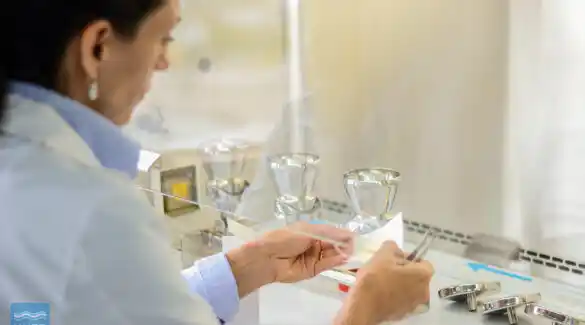 Luego de la experiencia con el repelente, el Municipio y la UNER producirán nuevos productos sanitarios