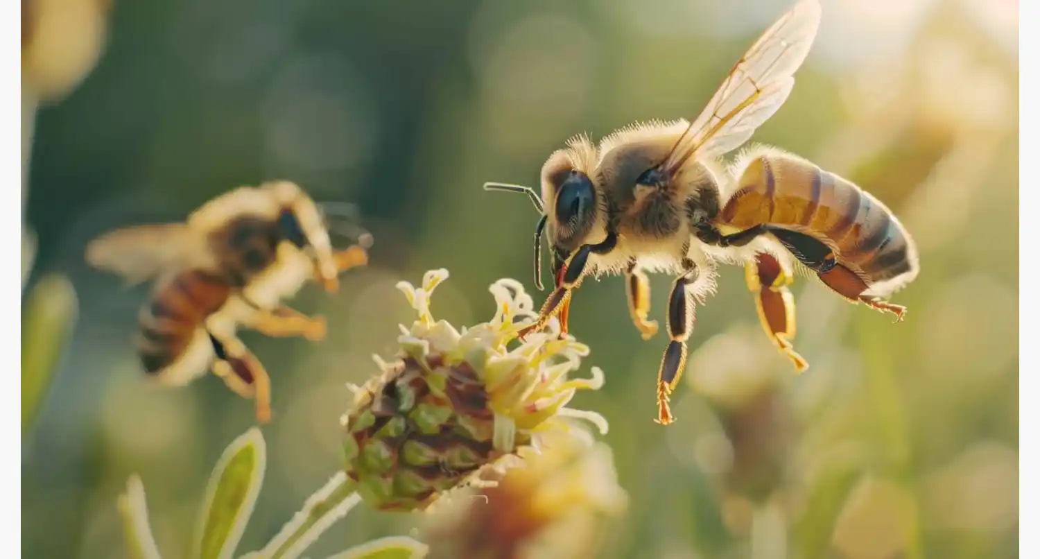 Dos hombres fueron detenidos en Salta tras un desalojo que terminó en violencia. (Foto: AdobeStock)