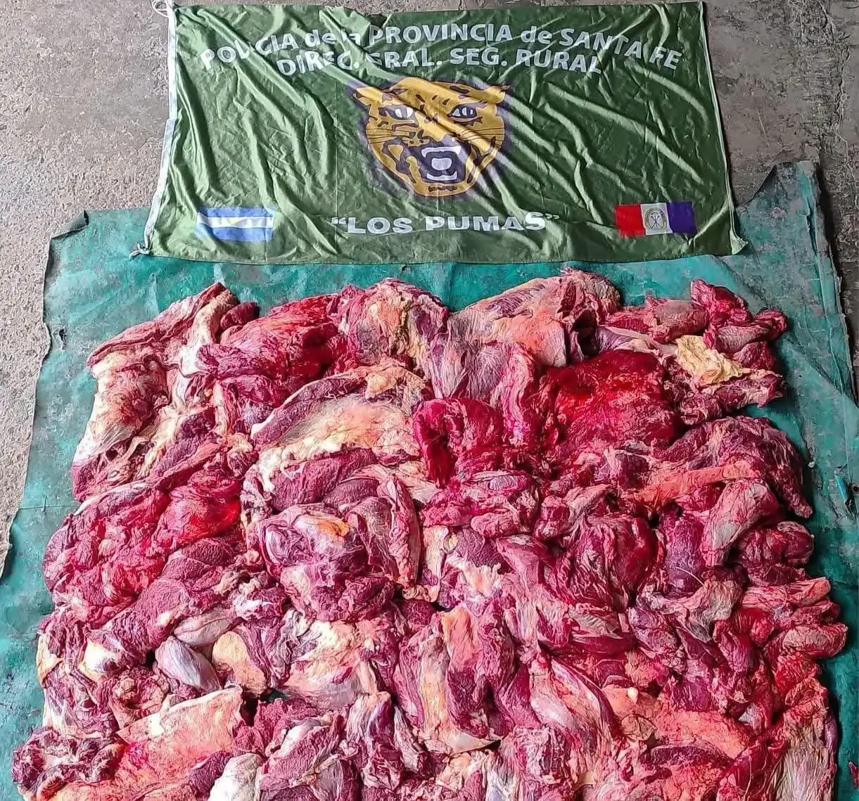 Los Pumas secuestraron 150 kilos de carne vacuna, armas, municiones y carpinchos durante distintos operativos en Las Colonias y Garay. - 4