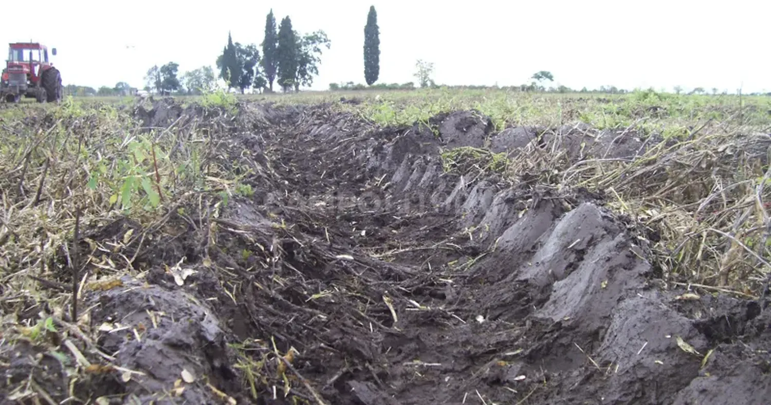 Se aguarda una marcada mejora en la llegada de humedad al área agrícola, activando las lluvias y moderando el régimen térmico.