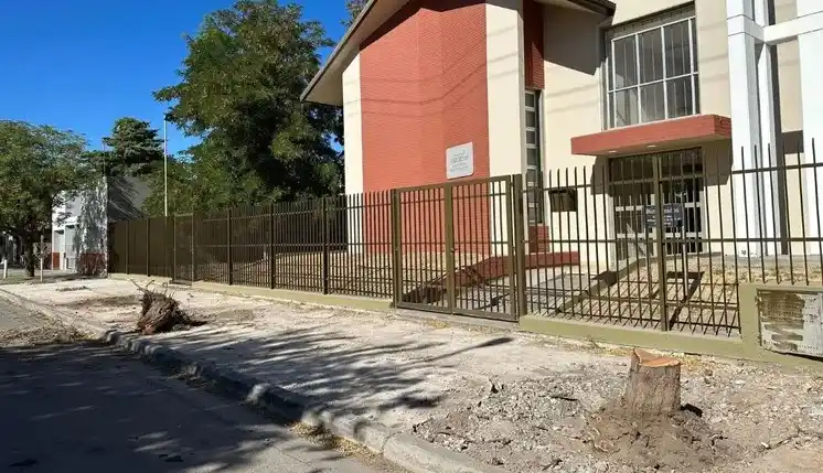 Una iglesia de Río Negro deberá pagar una multa millonaria por talar árboles sin autorización