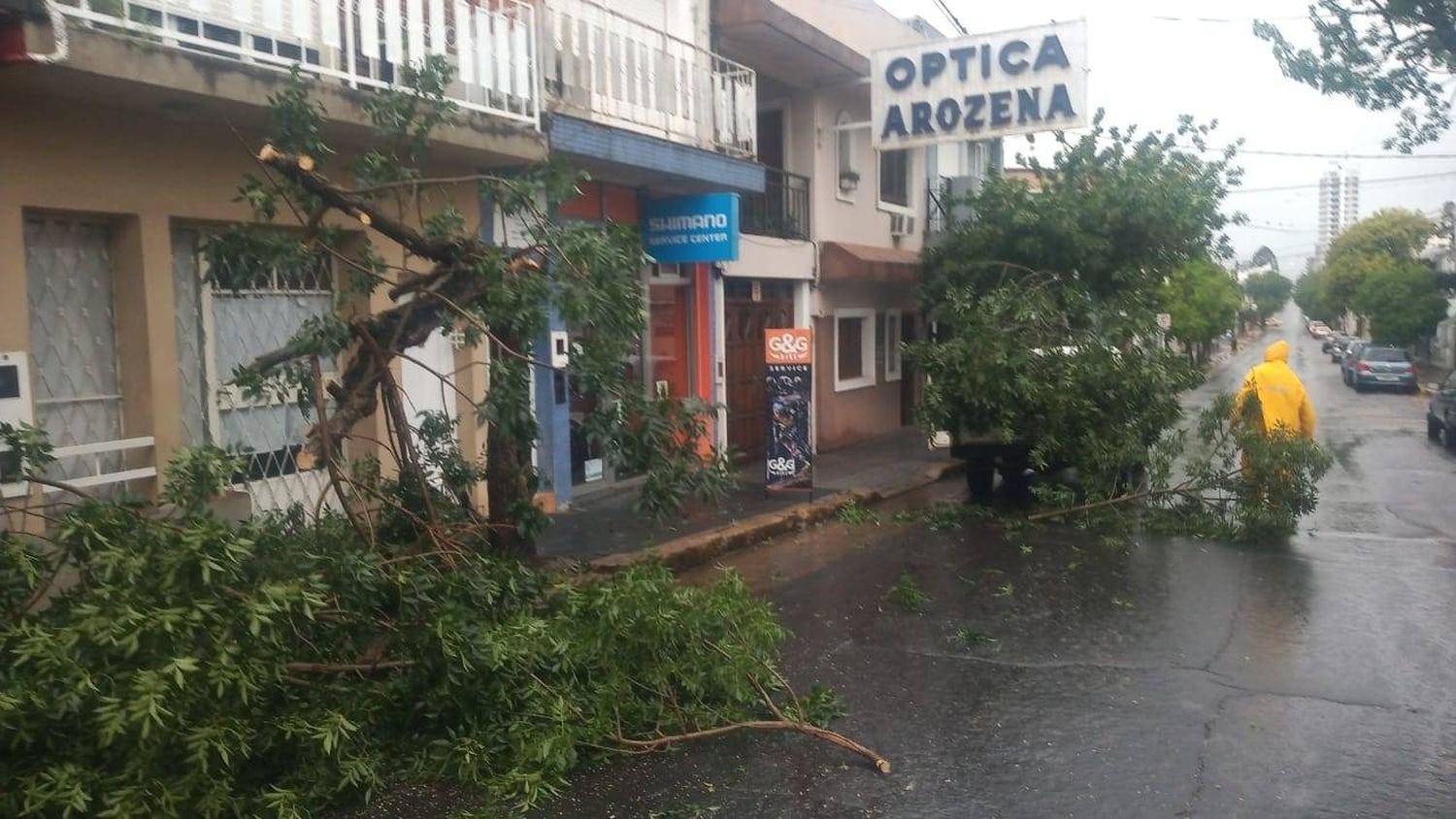 Fuerte temporal en la ciudad provocó caídas de ramas y postes