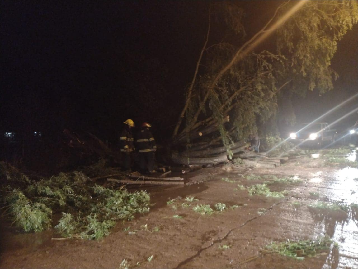 Cuadrillas municipales siguen trabajando en los barrios tras la fuerte tormenta