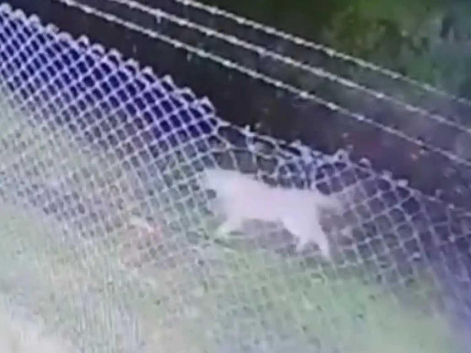 Captura de video.
