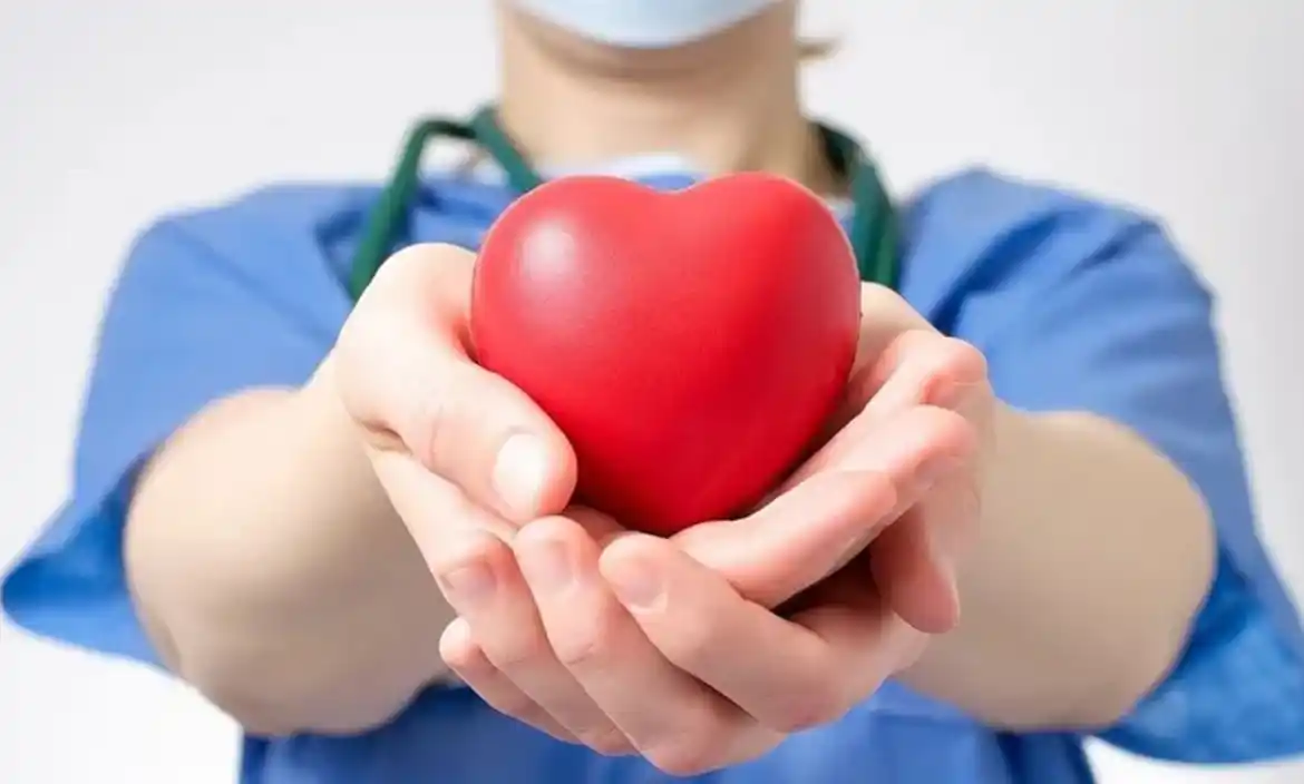 Más de 1.300 bonaerenses recibieron un trasplante en 2025 gracias a la donación de órganos