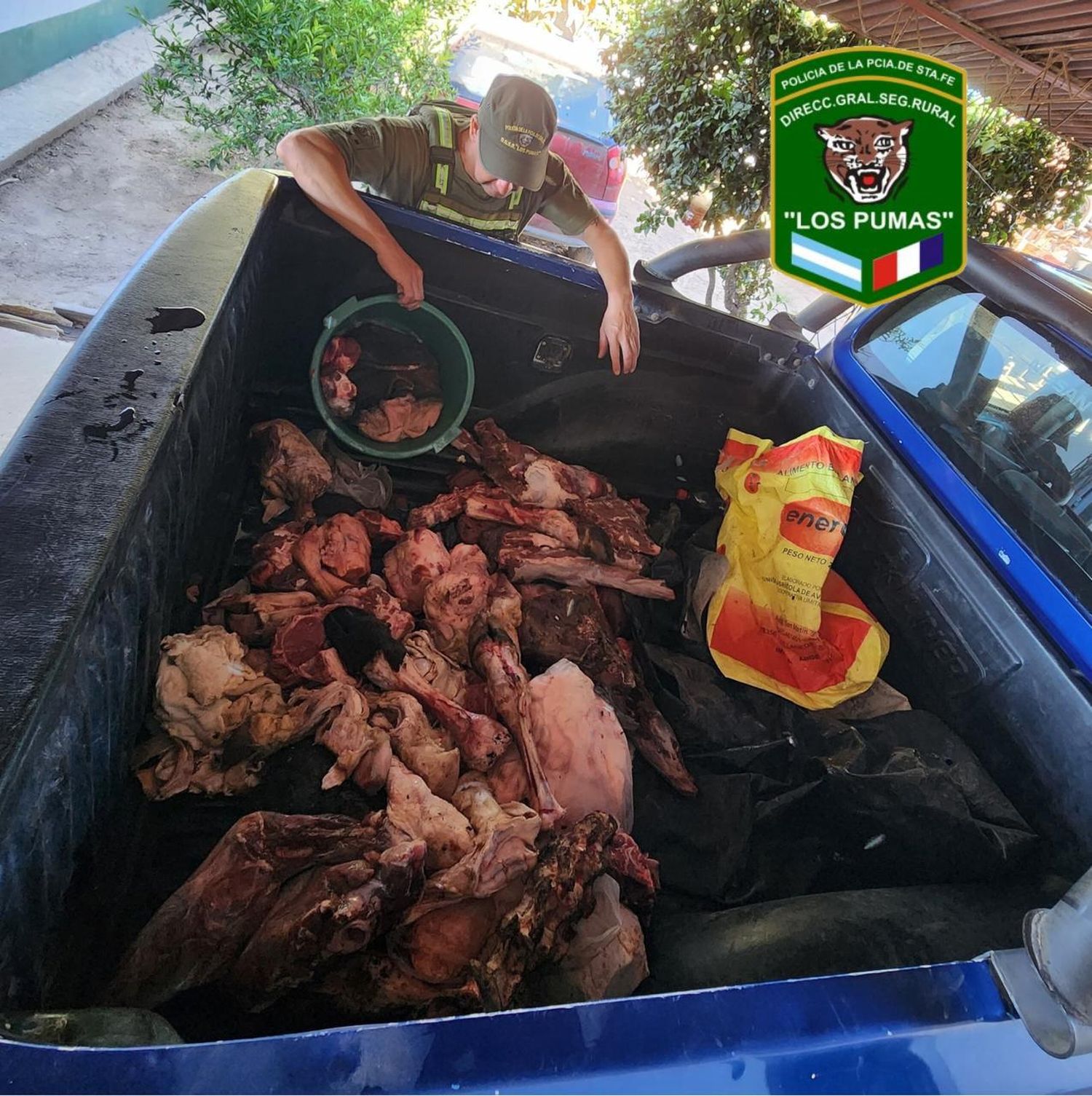 Padre e hijo quedaron aprehendidos por transportar carne de dudosa procedencia