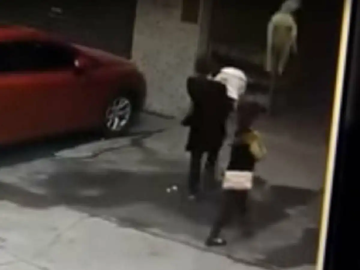 [VIDEO] Una mujer resultó herida por un perro que cayó de un edificio