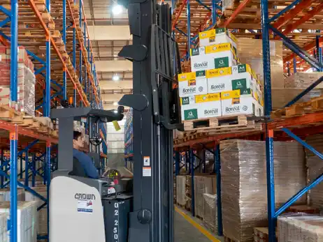 Celulosa busca la reestructuración de su deuda y paralizó sus plantas en Zárate y Capitán Bermúdez.