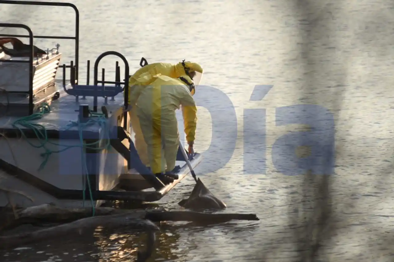 La peor noticia: El cuerpo encontrado en el río es el de Fabio Cortesi