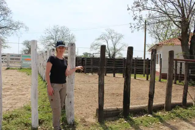 “El mercado ganadero tiene buena perspectiva”