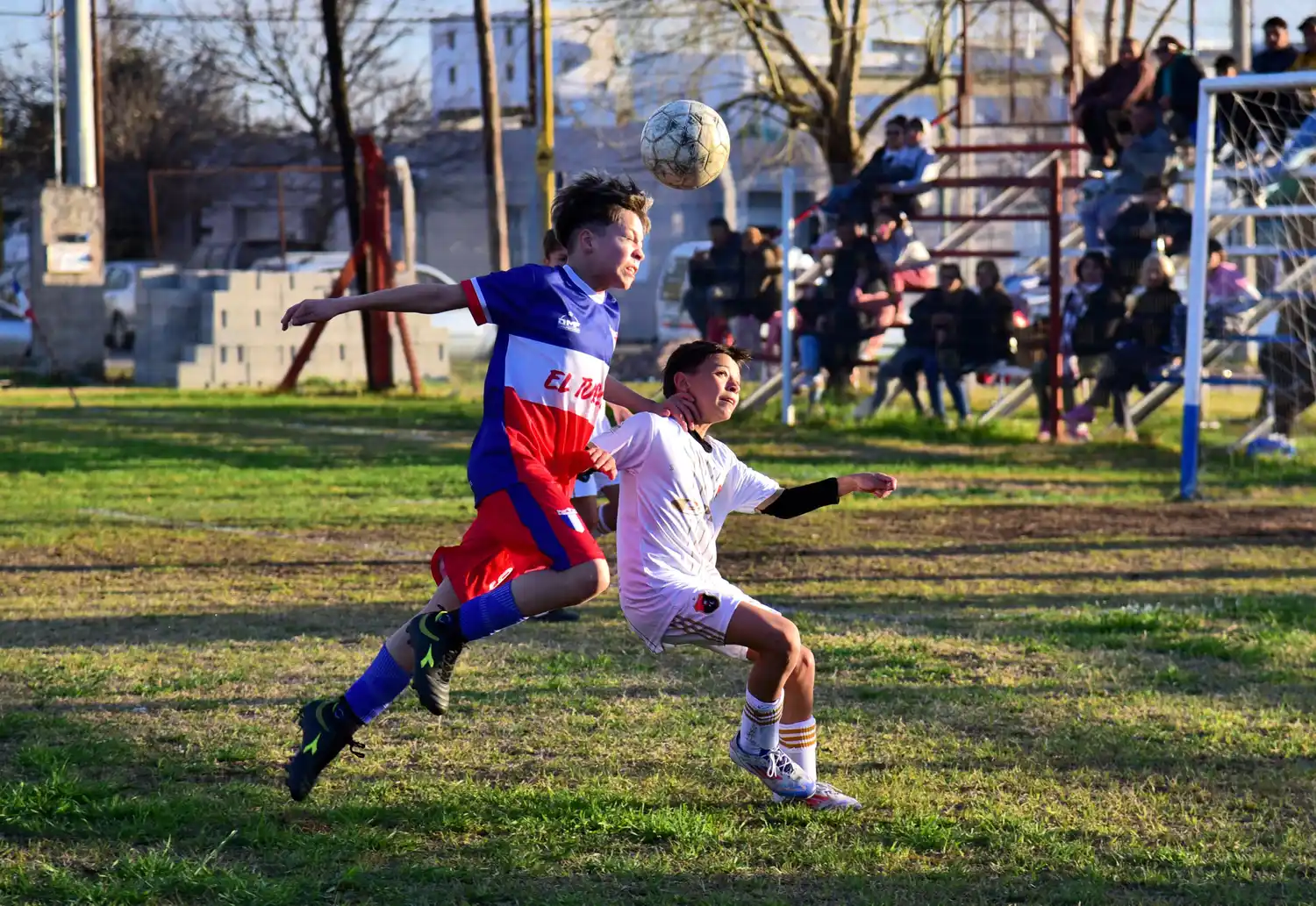 Los chicos volverán a las canchas