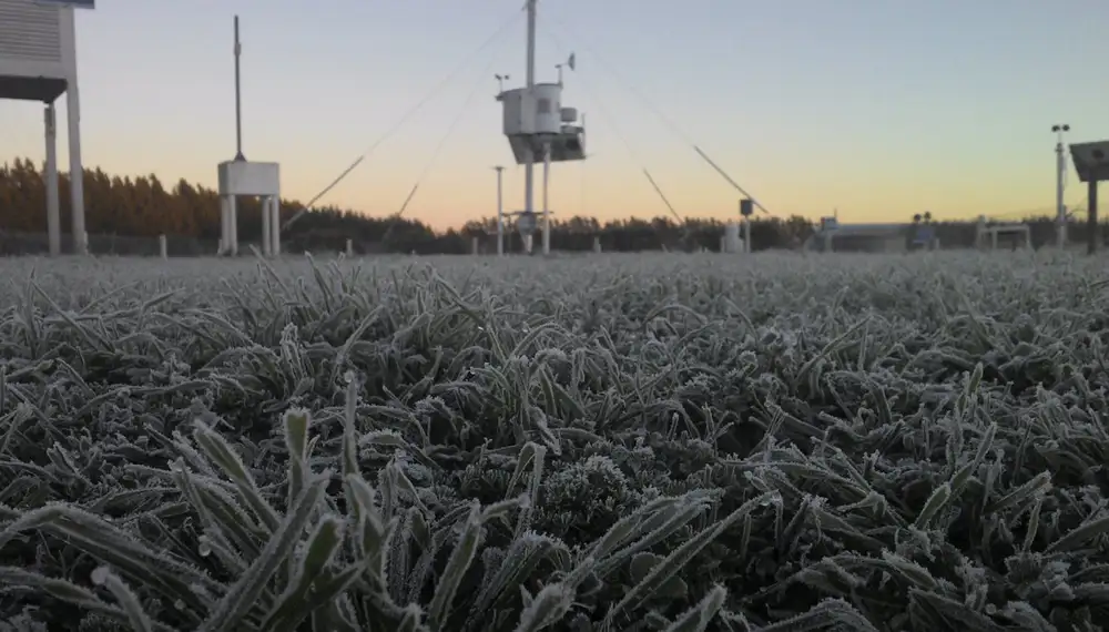 Una oleada de heladas cubrió amplias zonas agrícolas durante la madrugada/mañana del lunes.