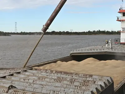Exportaciones de harina de soja a Estados Unidos, en máximos históricos
