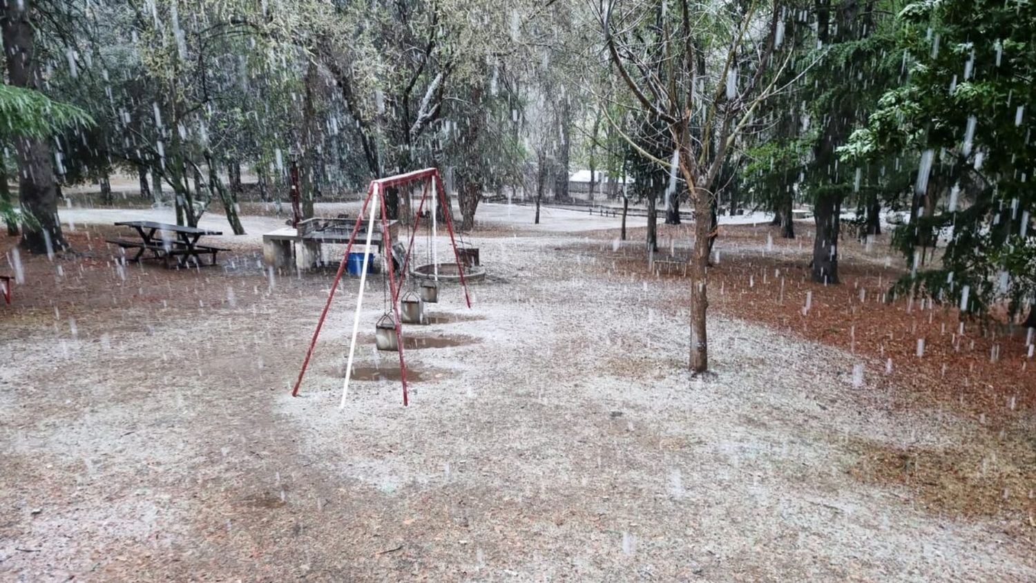 Primavera helada: nieva en las Sierras de Córdoba