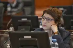 Actividad legislativa: Paola Rubattino