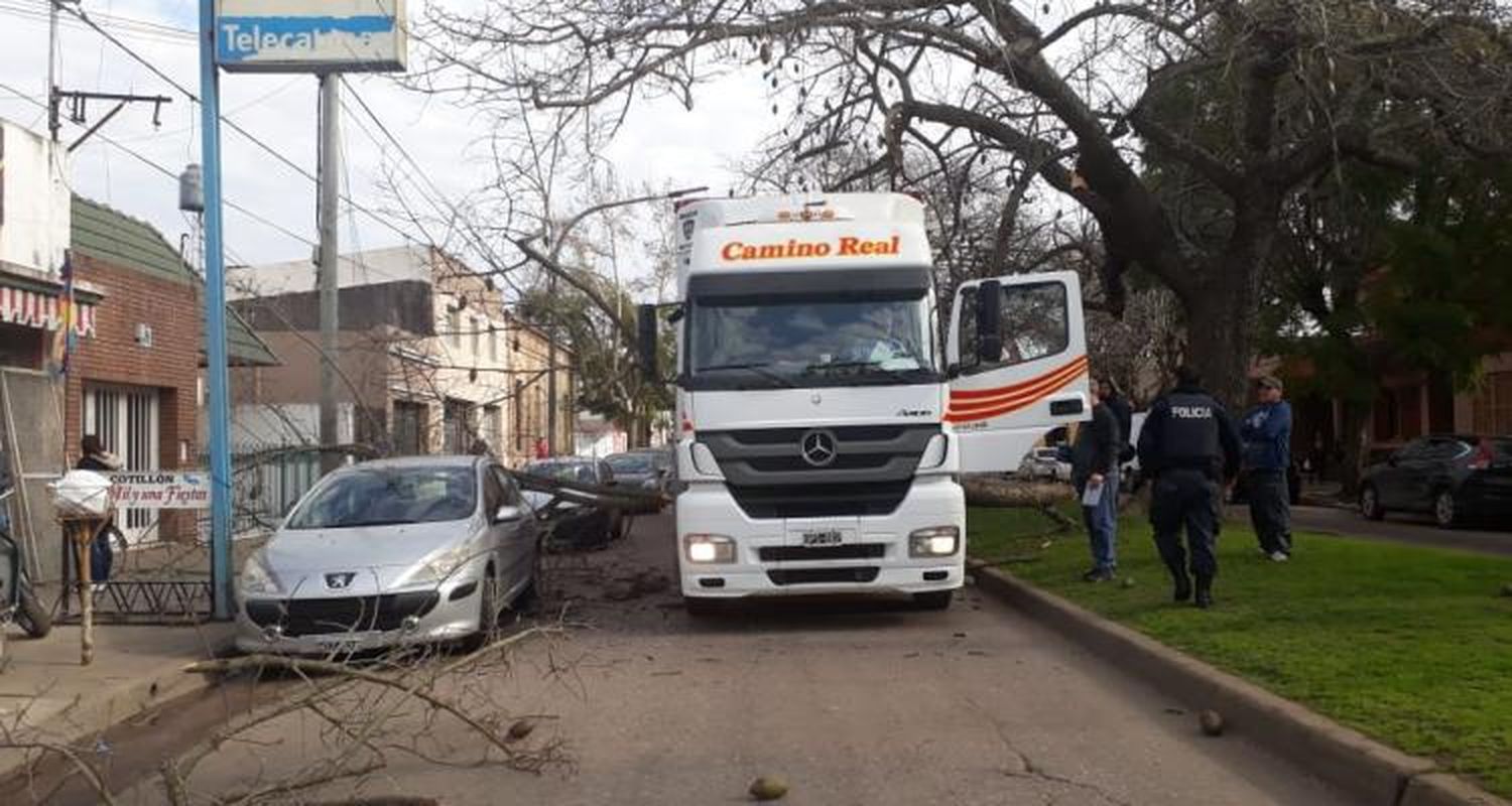 Un camión chocó una rama que cayó e impactó a una mujer