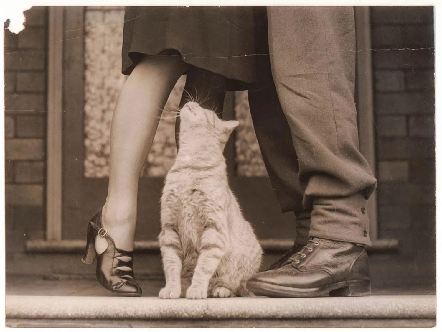 Amores y sentires de don Leoncio
