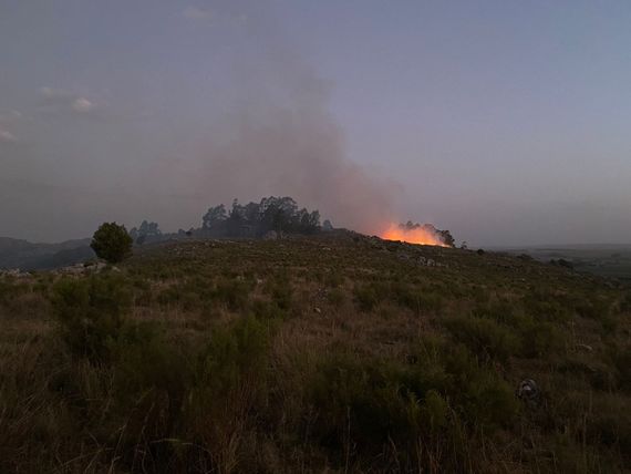 Se incendió otro cerro y Bomberos tuvo más de 60 intervenciones en enero y 35 en lo que va de febrero