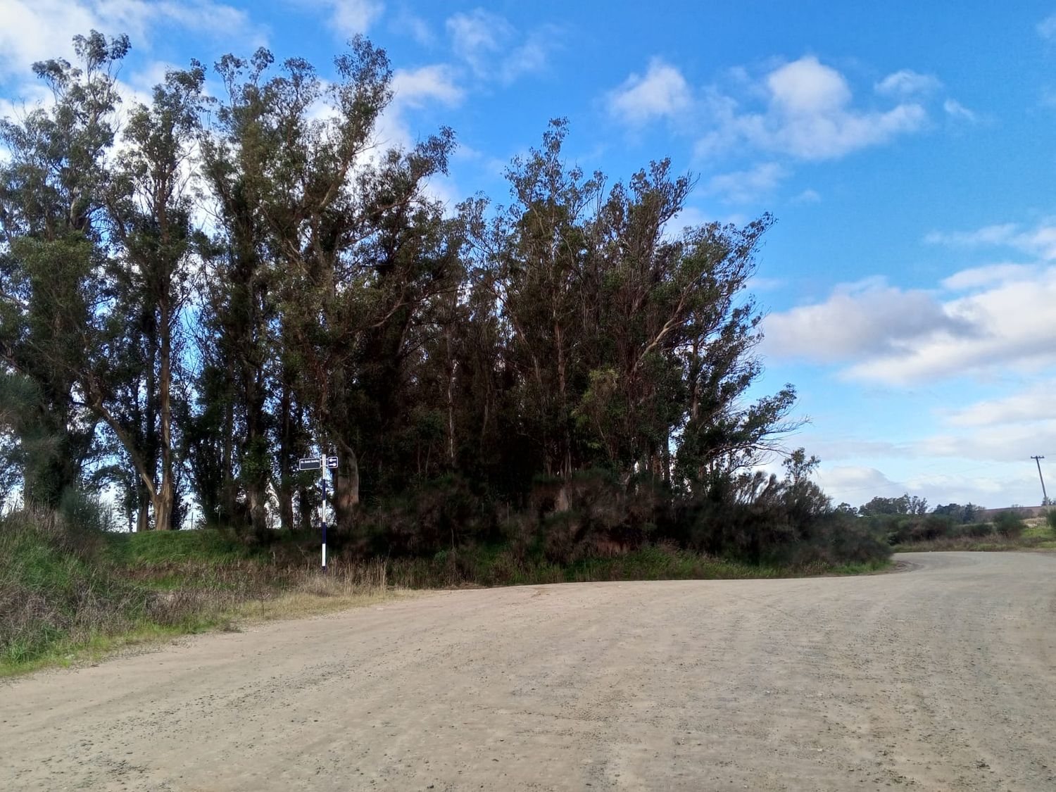 camino al sol - 3